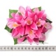 フラダンス 髪飾り バンダオーキッド 髪飾り Lサイズ ローズピンク