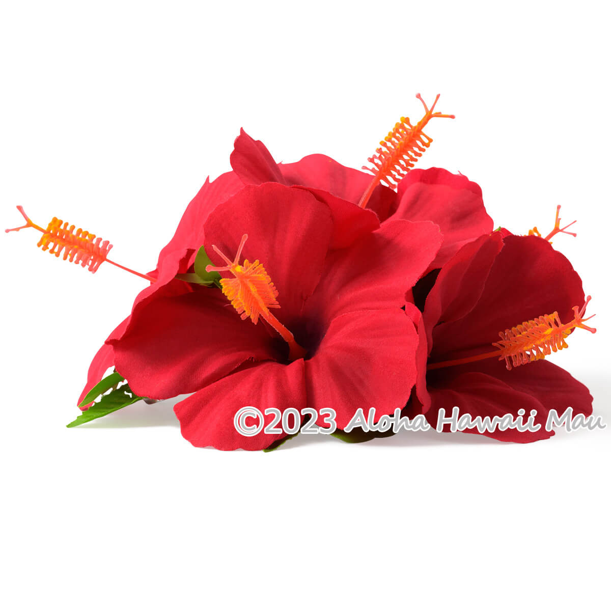 フラダンス 髪飾り ハイビスカス 髪飾り L 6P レッド