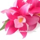 フラダンス 髪飾り バンダオーキッド 髪飾り ローズピンク Mサイズ フラダンス ヘアクリップ 