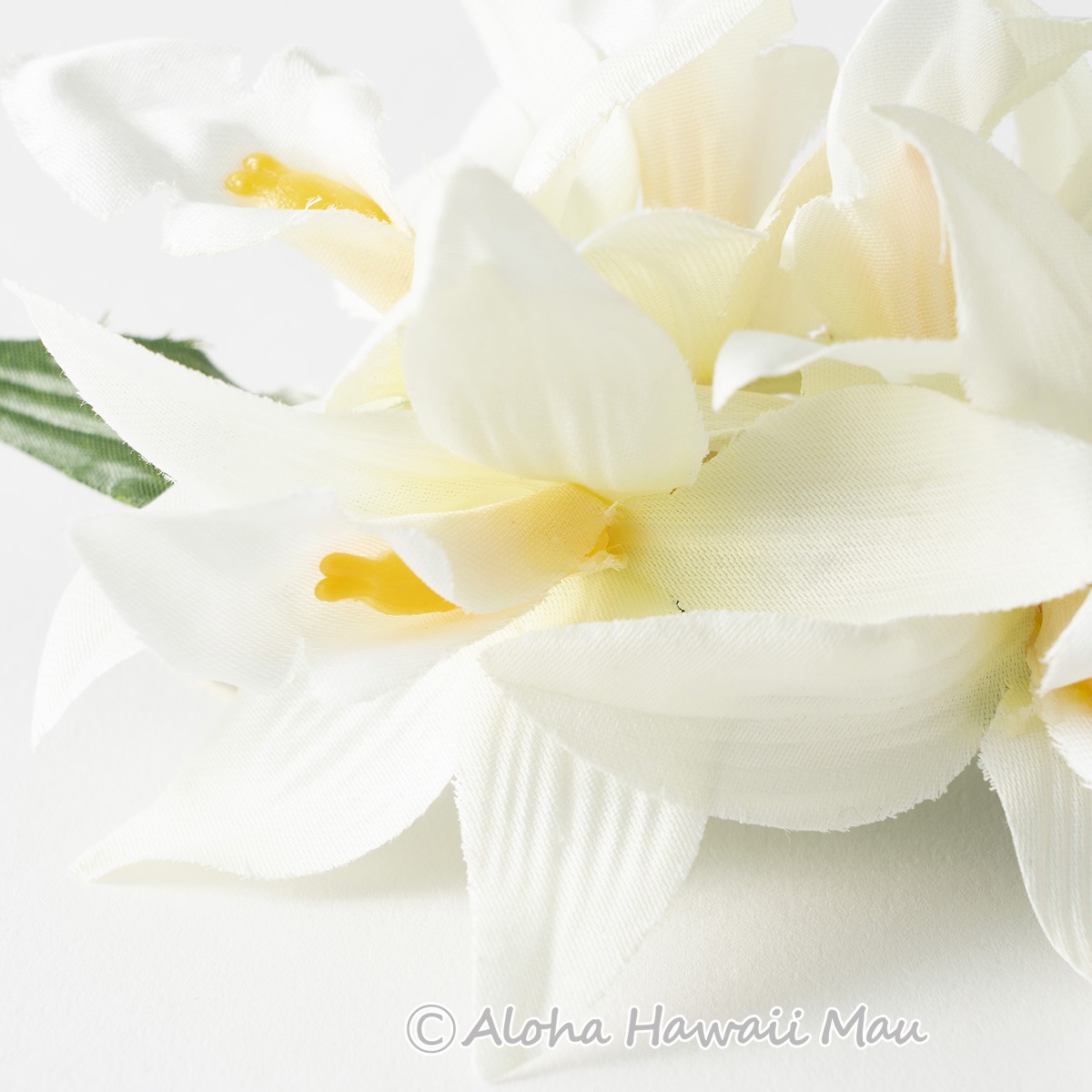 フラダンス 髪飾り バンダオーキッド 髪飾り Mサイズ ホワイト