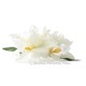 フラダンス 髪飾り バンダオーキッド 髪飾り Mサイズ ホワイト