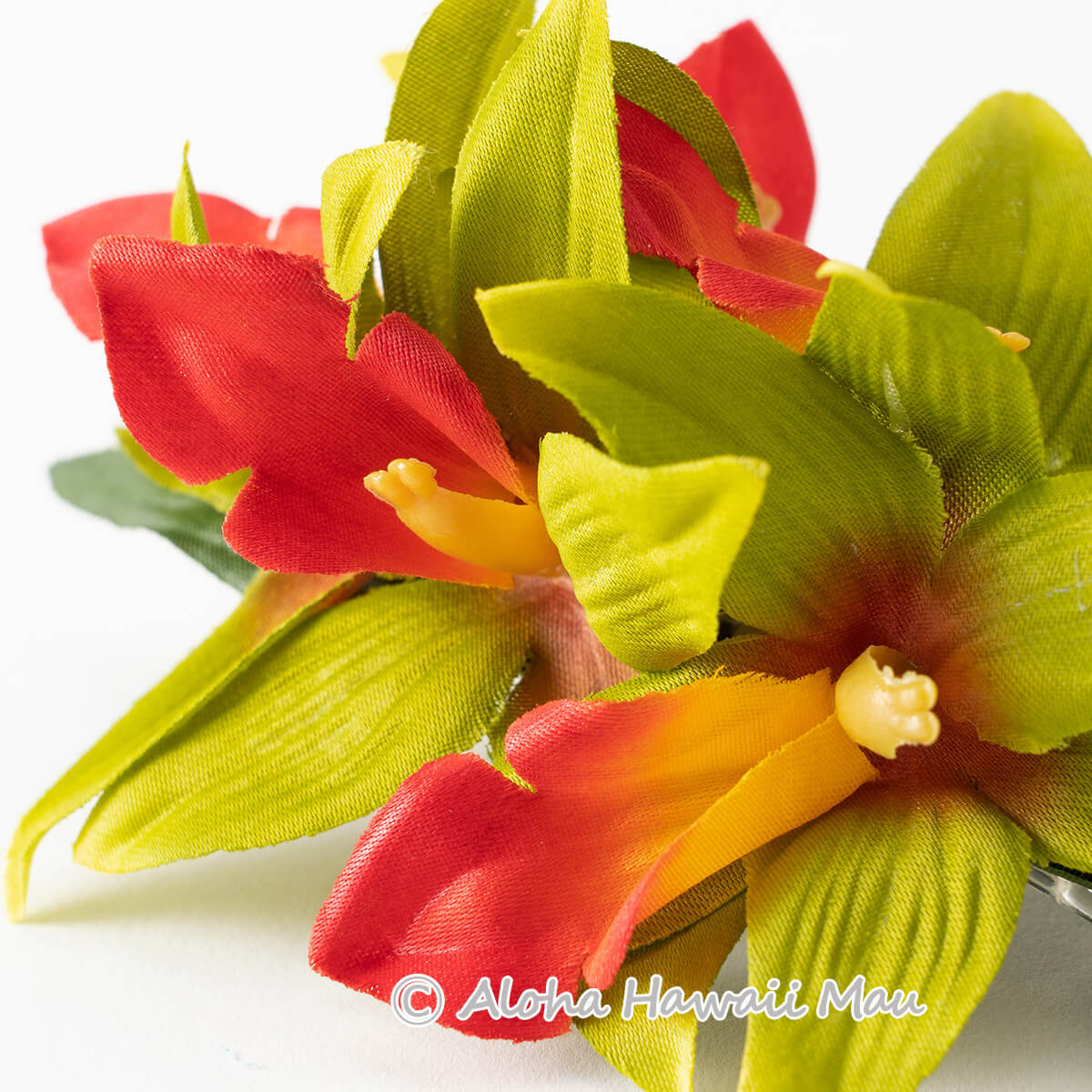フラダンス 髪飾り バンダオーキッド 髪飾り Mサイズ グリーン/レッド