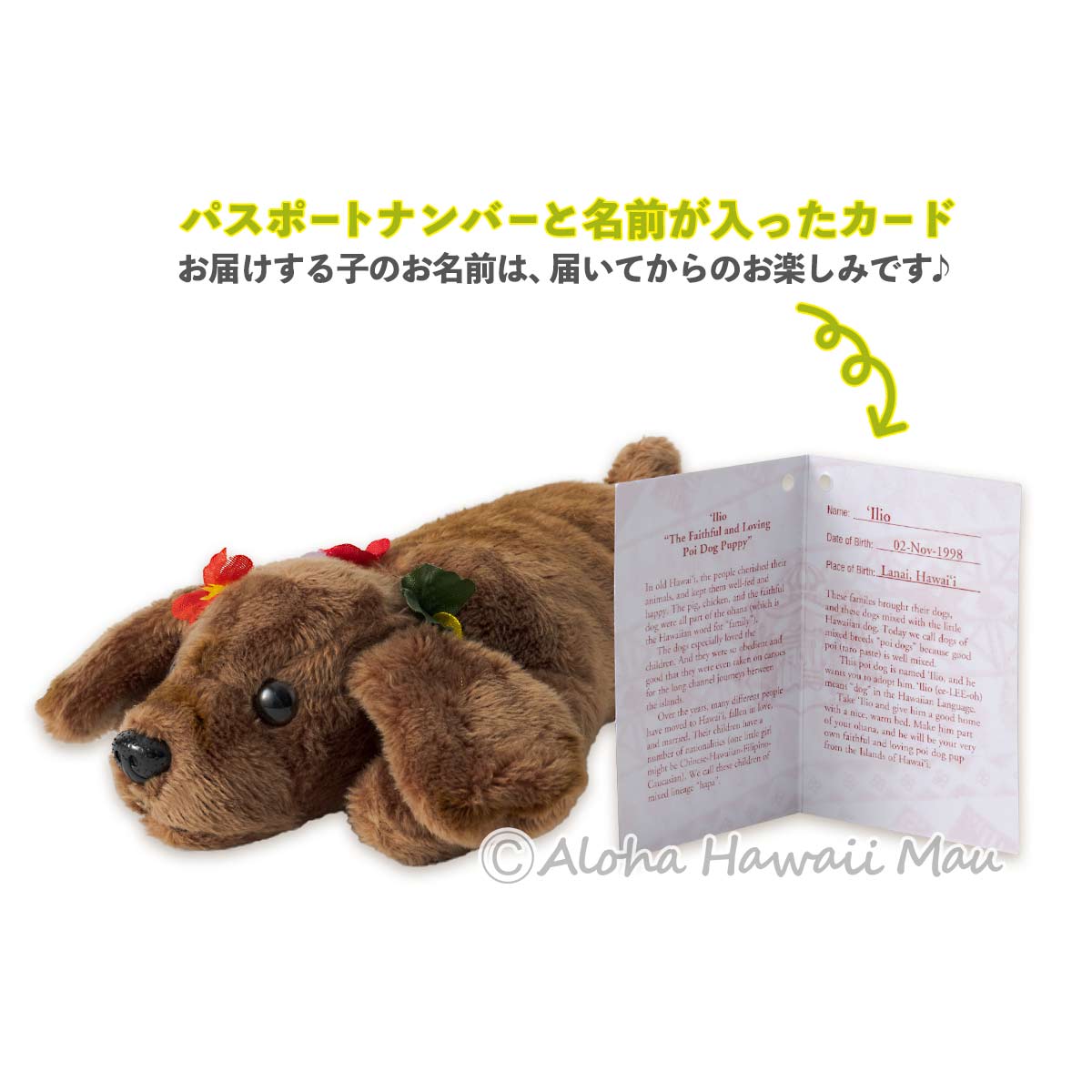 ハワイ ぬいぐるみ ポイ ドッグ（the Poi Dog）/ドッグ・ブラウン