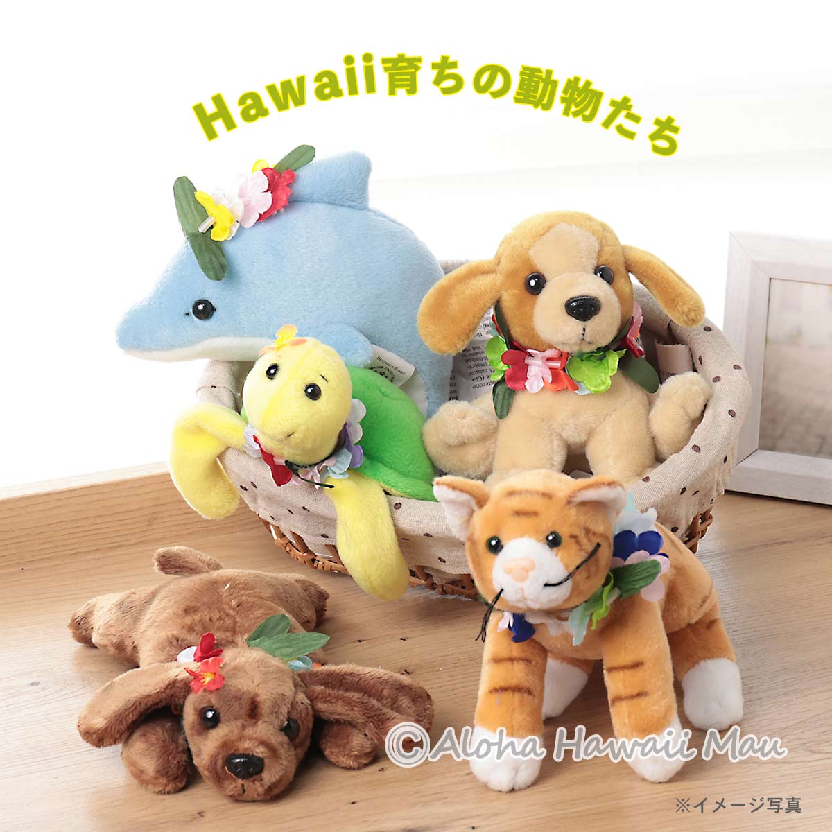 ハワイ ぬいぐるみ ポイ ドッグ（the Poi Dog）/ドッグ・ブラウン