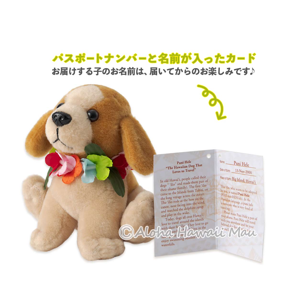 ハワイ ぬいぐるみ ハワイアン ドッグ(the Hawaiian Dog) /ドッグ・ベージュ