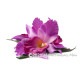 フラダンス 髪飾り ラージ カトレア オーキッド L ラベンダー