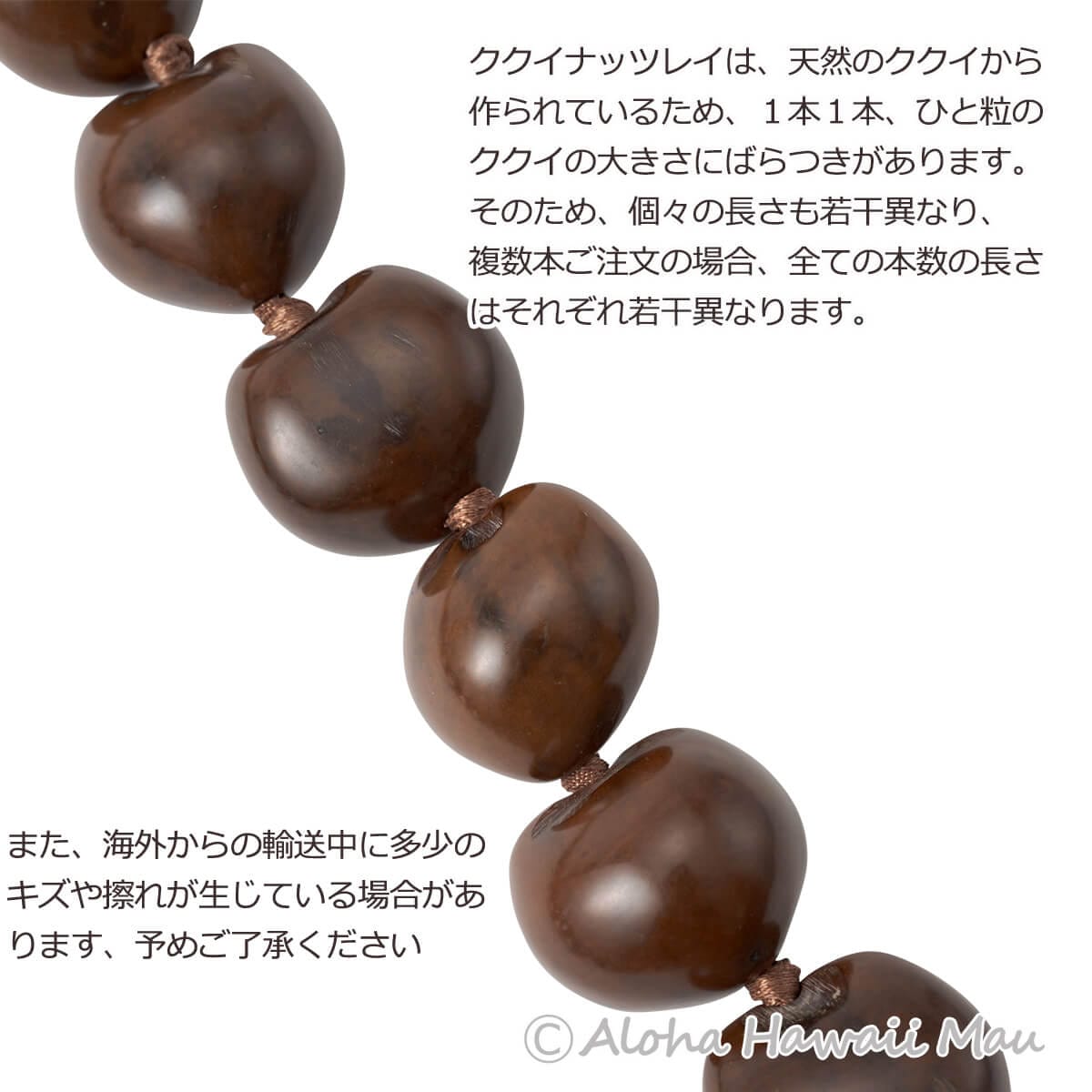 フラダンス レイ ククイレイ ブラウン | フラダンスアイテム