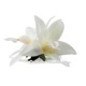 フラダンス 髪飾り バンダオーキッド 髪飾り ホワイト Sサイズ フラダンス ヘアクリップ