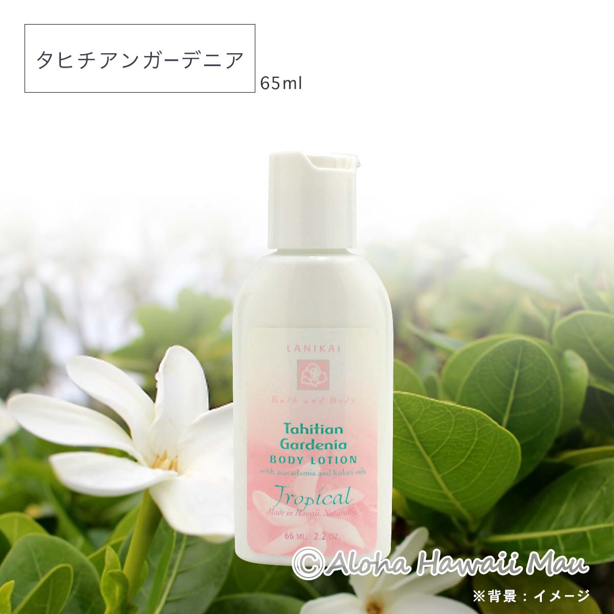 ボディローション 58～65ml〈メッセージタグ付〉ハワイギフト LANIKAI Bath＆Body ラニカイ バス＆ボディ
