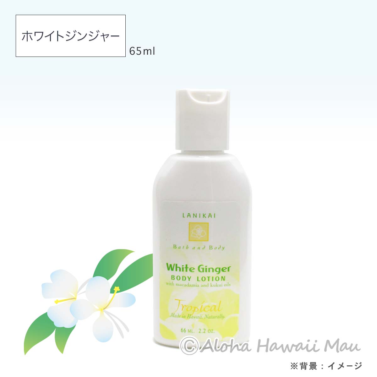 ボディローション 58～65ml〈メッセージタグ付〉ハワイギフト LANIKAI Bath＆Body ラニカイ バス＆ボディ