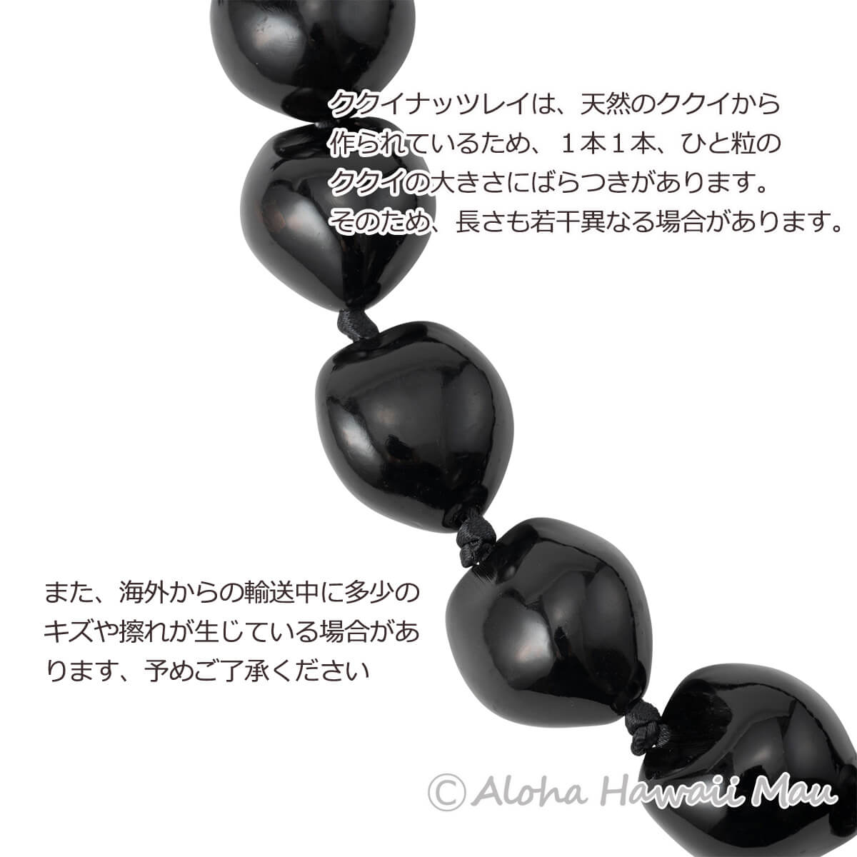 フラダンス レイ ククイ チョーカー ブラック | フラダンスアイテム
