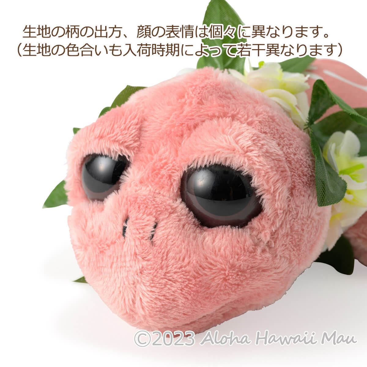 ハワイアン ホヌ ぬいぐるみ フラホヌ〈メッセージカード付〉ハワイギフト