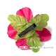 フラダンス 髪飾り ハイビスカス 1P ローズ