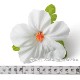 フラダンス 髪飾り ハイビスカス 1P ホワイト