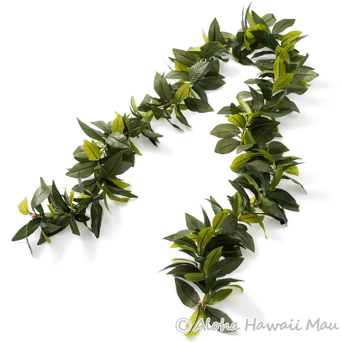 マイレ レイ キングマイレ オープンレイ フラ レイ ニューキングマイレ