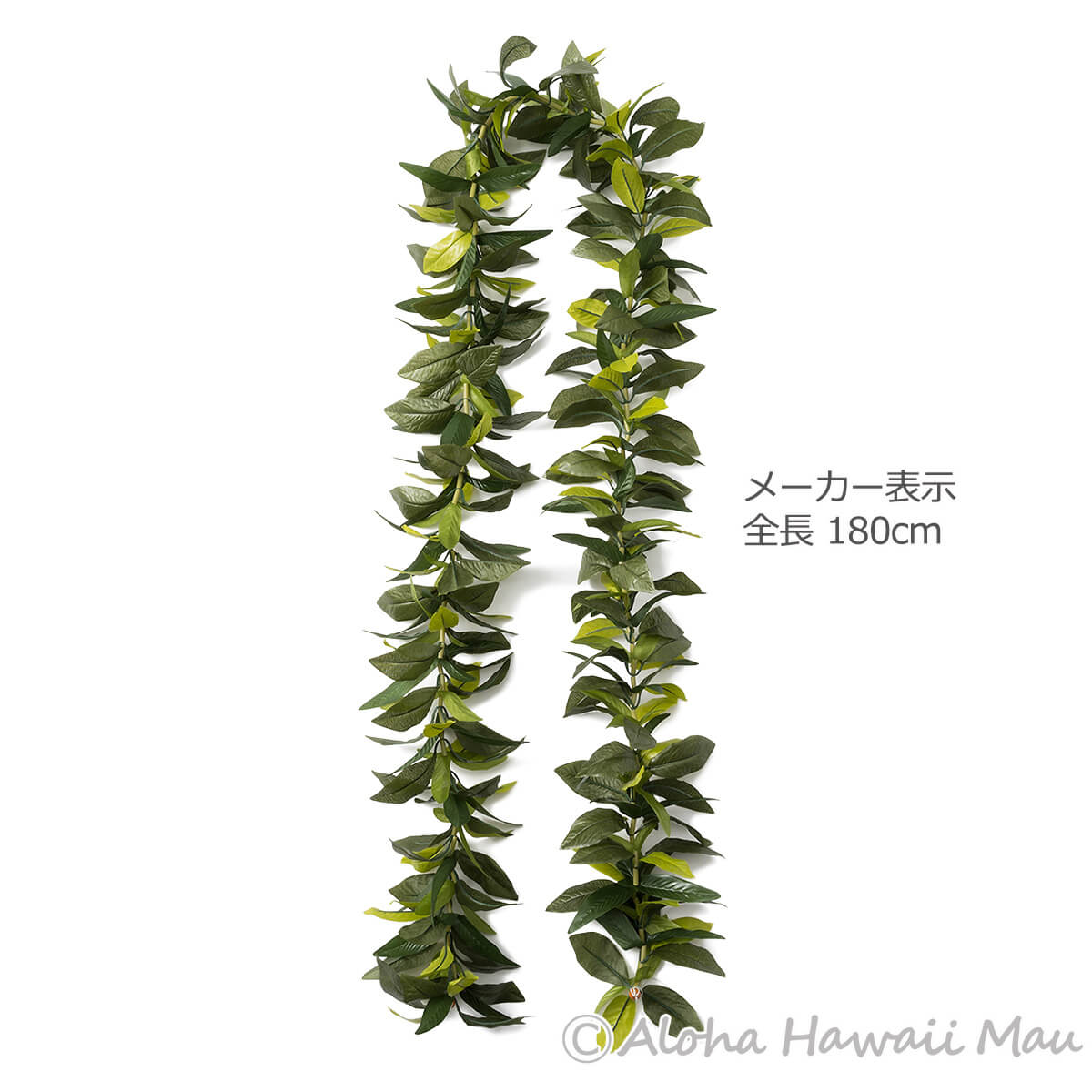 マイレ レイ キングマイレ オープンレイ フラ レイ ニューキングマイレ