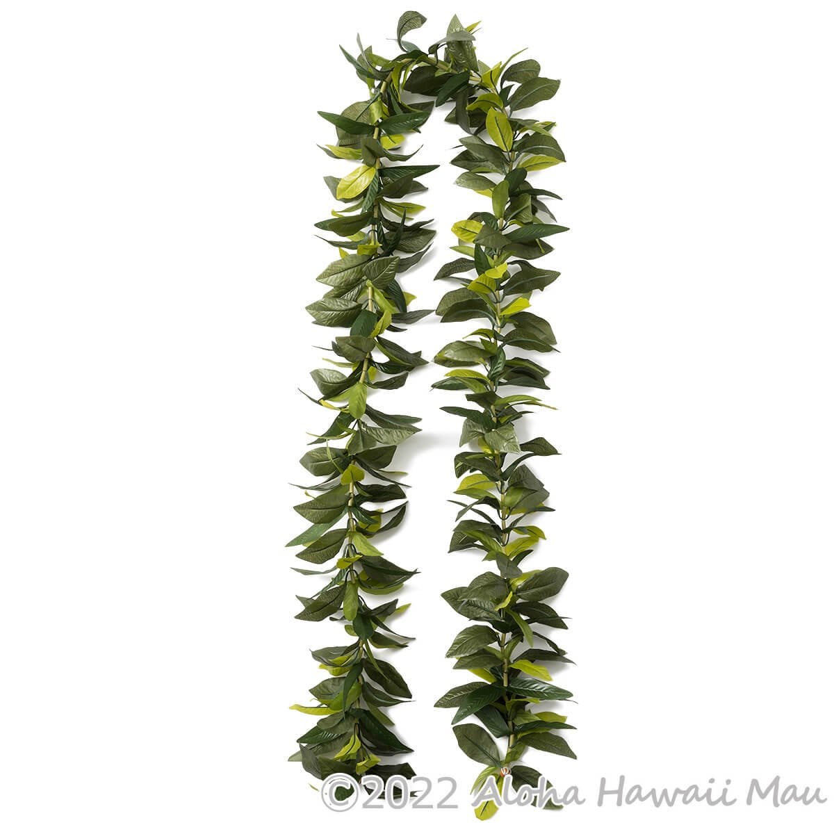 フラダンス 【マイレ】レイポウ　送料無料「 特価】フラダンス マイレ オープンレイ 1870 : emika - 通販