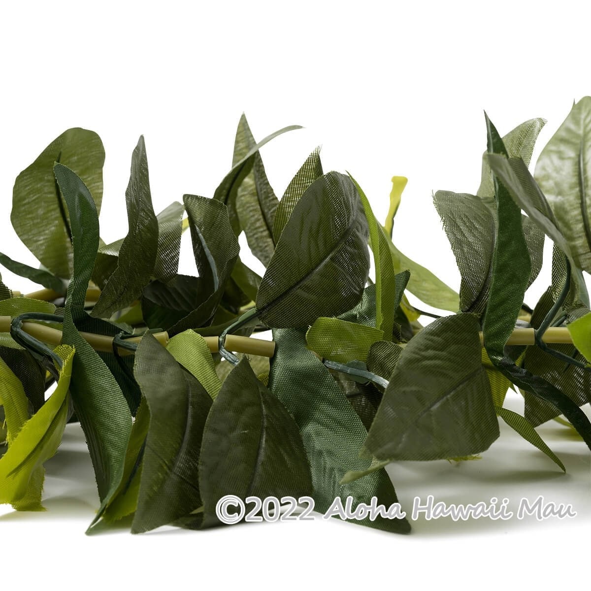 マイレ レイ キングマイレ オープンレイ フラ レイ ニューキングマイレ