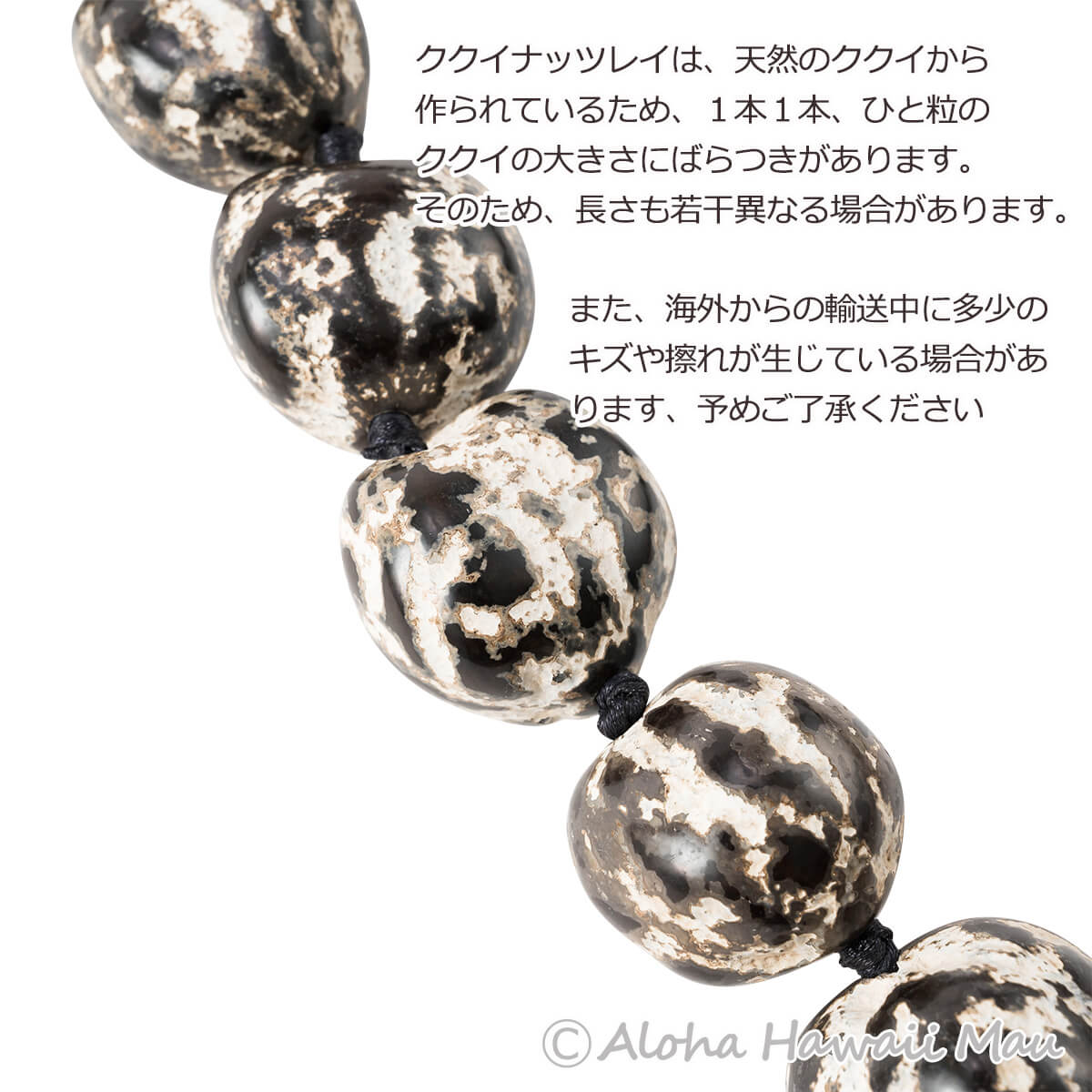 フラダンス レイ ククイ レイ タイガーククイ レイ ブラック/ホワイト