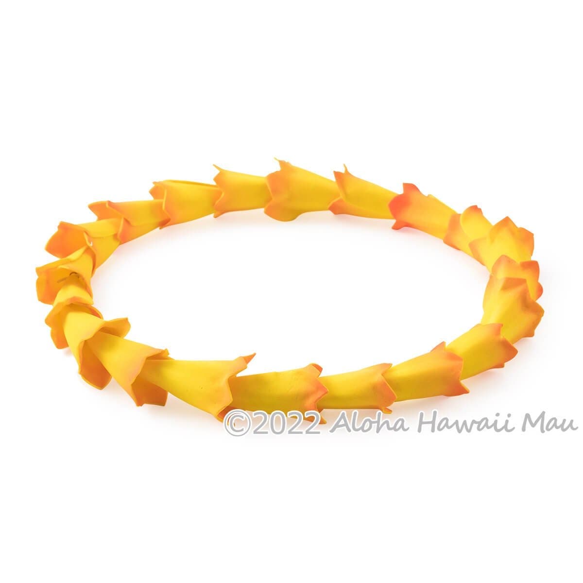 ハッピー感増すオレンジ色のチョーカー ハッピー感増すオレンジ色のチョーカー