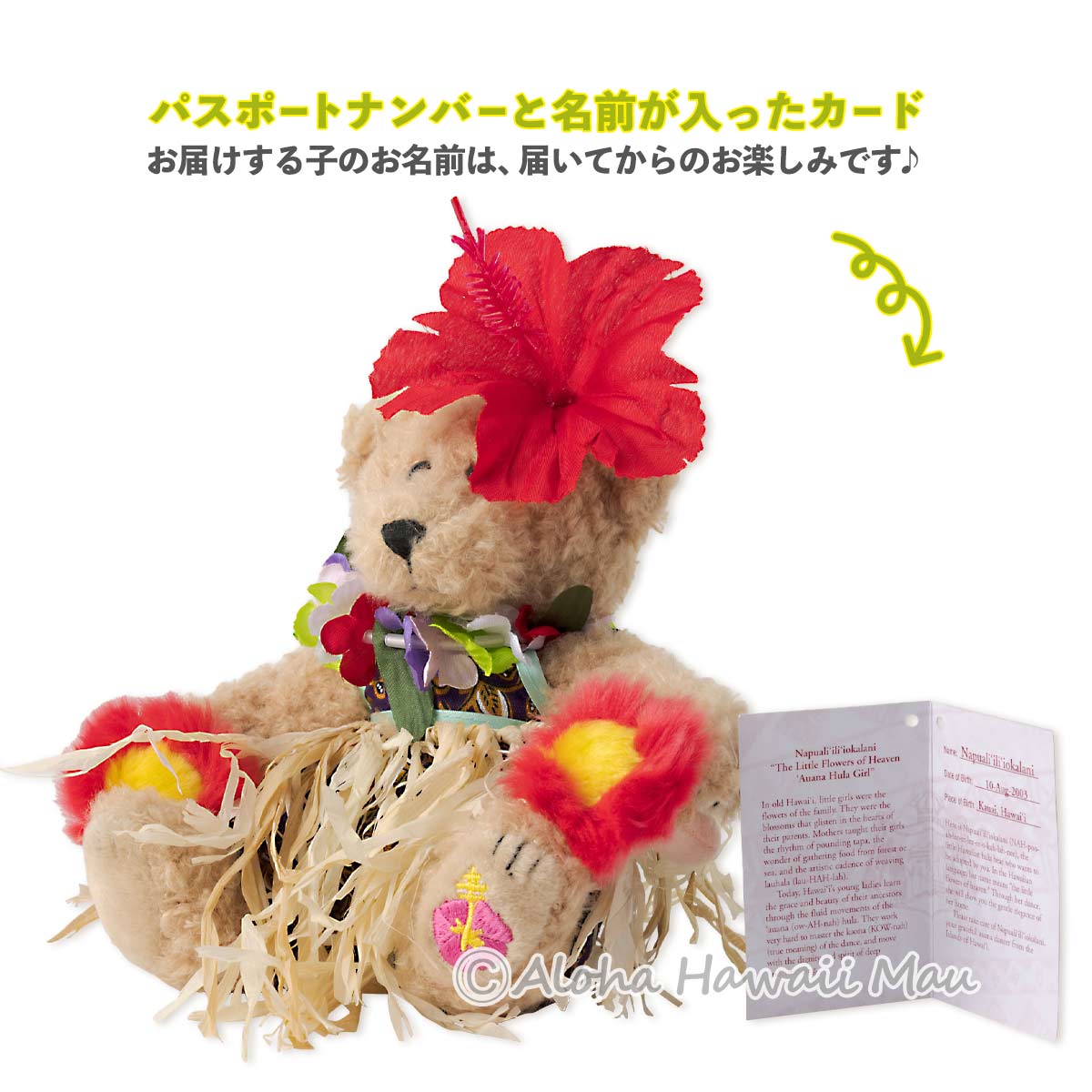 ハワイ ぬいぐるみ モダン フラ ベア(Modern Hula Bear) /クマ