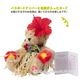 ハワイ ぬいぐるみ モダン フラ ベア(Modern Hula Bear) /クマ・ベージュ