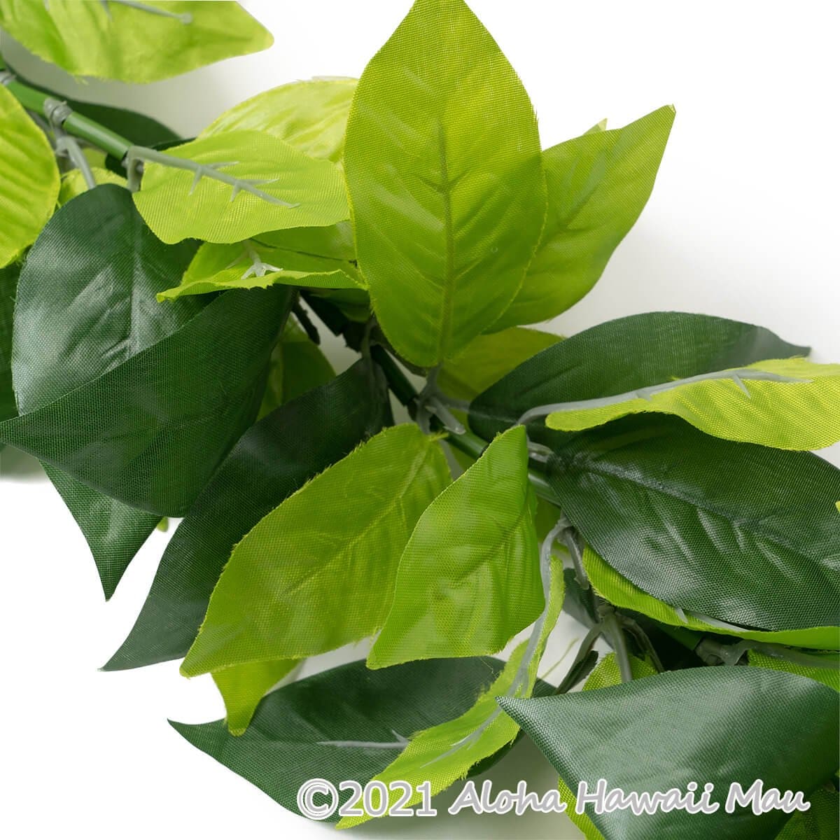 フラダンス レイ プレミアム マイレ レイ | フラダンスアイテム