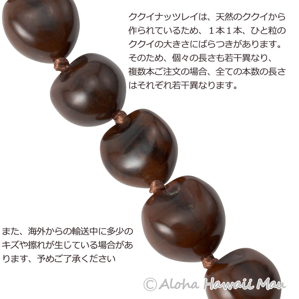 フラダンス 【ククイ 】レイ　茶色 10本セット (黒もございます) フラダンス レイ ククイ ロングレイ ブラウン | フラダンスアイテム