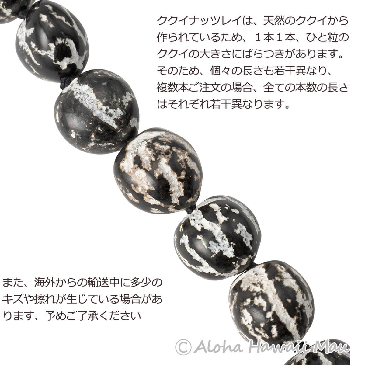 フラダンス レイ ククイ ロングレイ タイガーブラック | フラダンス