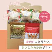 【送料無料】母の日ギフト海からの贈り物C