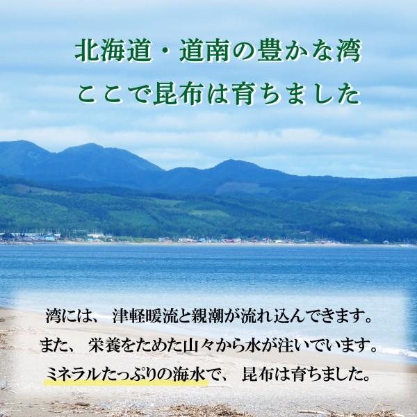 がごめ昆布ちりめん　60g