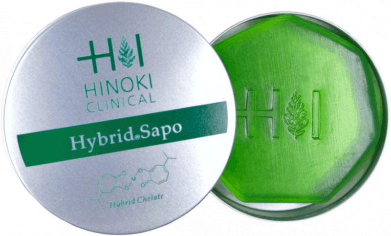 �ϥ��֥�åɥ��ݡ�