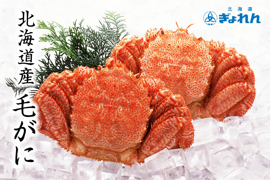 北海道ぎょれん 北海道産毛がに 約500g×2尾 | HOKUREN GREEN +PLUS