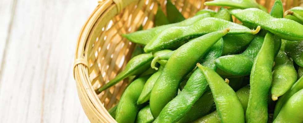 ホクレン中札内村産塩味枝豆(茶豆風味) 5袋セット | HOKUREN GREEN +