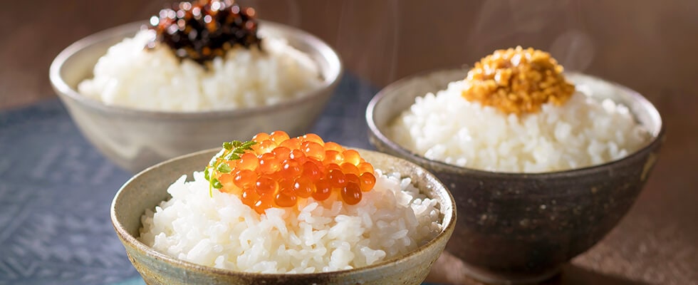 令和6年産 北海道産 ふっくりんこ 5kg×2袋 精米 | HOKUREN GREEN +PLUS