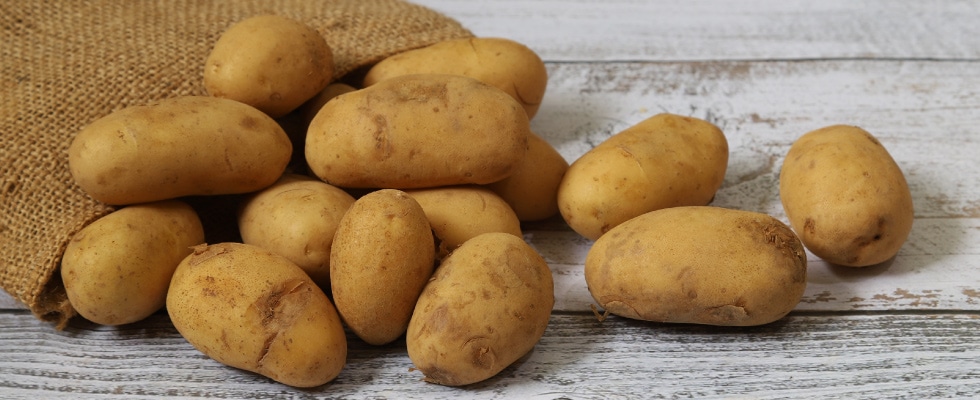 JA�ӹ����� �����᡼������ L����������10kg��10���ܡ�ȯ�����ϡ�