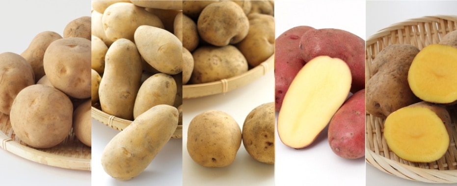 ̳ƻ㤬⿩٥åȡ11ܡȯϡ