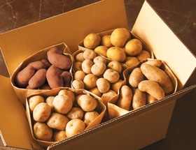 ̳ƻ㤬⿩٥åȡ11ܡȯϡ