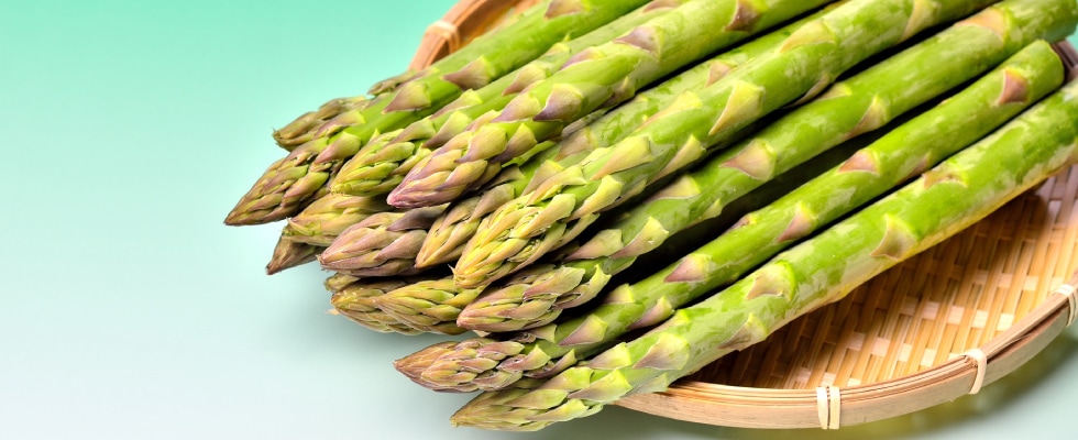 JAƻ�������꡼�󥢥��ѥ饬��(�ϥ�������)����M���������硡��1kg����3��ܡ�ȯ�����ϡ�