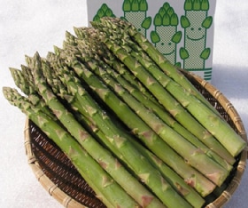 JAƻ�������꡼�󥢥��ѥ饬��(�ϥ�������)����M���������硡��1kg����3��ܡ�ȯ�����ϡ�