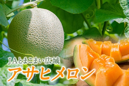 JAとまこまい広域 アサヒメロン秀品約1.6㎏×2玉《7月上旬～発送開始