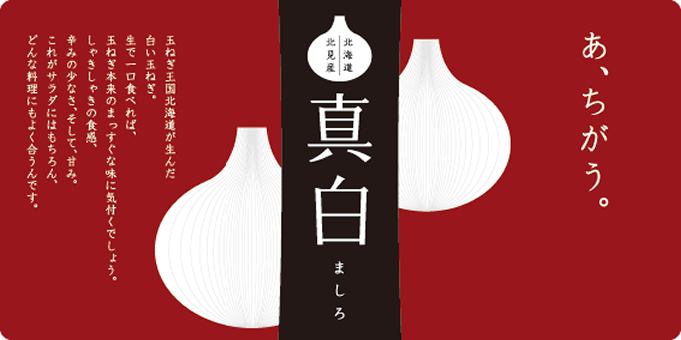 しらたま 北海道(JAきたみらい) 真白(白い玉ねぎ)2L～М混 約3kg 《8月上旬～発送