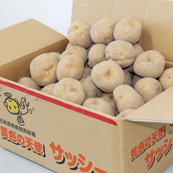 JAӤۤ㤬⥵åL10kg11ܡȯϡ