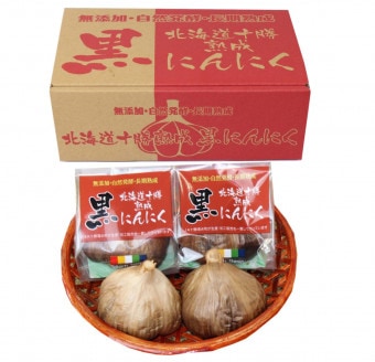 JA��������Į���������ˤ�ˤ���M�̸�����6������