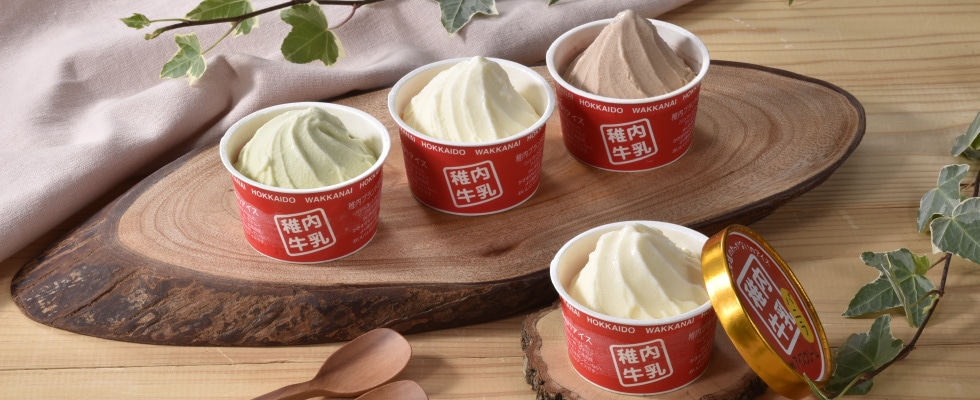 JA北宗谷 稚内牛乳アイスクリーム9個セット | HOKUREN GREEN +PLUS