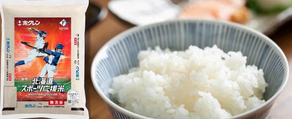 北海道産 ブレンド米 5kg×4袋 白米 ホクレン