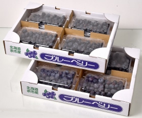 JA褤֥롼٥꡼250g4ġˡ2Ȣ