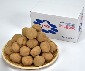 JA褦Ƥˤ㤯L5ԡ9ܡȯϡ