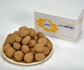 JA褦ƤꡡL5ԡ9ܡȯϡ