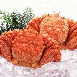 �ڤ�������̳�ƻ������ �̳�ƻ���Ӥ��ˡ���500���2����12���ܡ�ȯ����